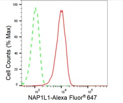 Invitrogen NAP1L1 Recombinant Rabbit Monoclonal Antibody (24GB550) 20 &mu;L;