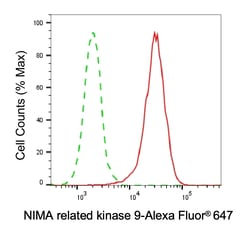 Invitrogen NEK9 Monoclonal Antibody (24GB6355) 20 &mu;L; Unconjugated:Antibodies,