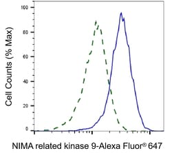 Invitrogen NEK9 Monoclonal Antibody (24GB6355) 20 &mu;L; Unconjugated:Antibodies,