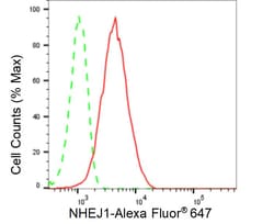Invitrogen XLF Recombinant Rabbit Monoclonal Antibody (24GB480) 20 &mu;L;