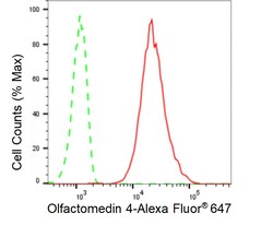 Invitrogen OLFM4 Recombinant Rabbit Monoclonal Antibody (24GB680):Antibodies:Primary