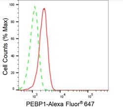 Invitrogen PEBP1 Recombinant Rabbit Monoclonal Antibody (24GB860) 20 &mu;L;