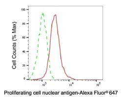 Invitrogen PCNA Monoclonal Antibody (24GB2810) 100 &mu;L; Unconjugated:Antibodies,