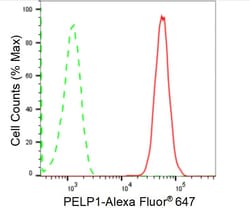 Invitrogen MNAR Recombinant Rabbit Monoclonal Antibody (24GB1145) 100 &mu;L;