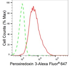 Invitrogen PRDX3 Recombinant Rabbit Monoclonal Antibody (24GB935) 20 &mu;L;