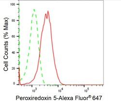 Invitrogen PRDX5 Recombinant Rabbit Monoclonal Antibody (24GB1025):Antibodies:Primary