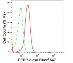 Invitrogen PERP Recombinant Rabbit Monoclonal Antibody (24GB1630) 100 &mu;L;