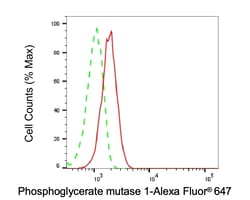 Invitrogen PGAM1 Recombinant Rabbit Monoclonal Antibody (24GB1635) 100