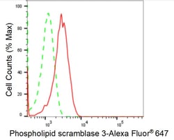 Invitrogen PLSCR3 Recombinant Rabbit Monoclonal Antibody (24GB1345) 20