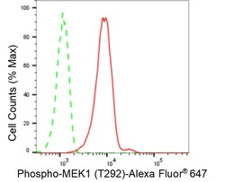 Invitrogen Phospho-MEK1 (Thr292) Recombinant Rabbit Monoclonal Antibody
