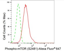 Invitrogen Phospho-mTOR (Ser2481) Recombinant Rabbit Monoclonal Antibody