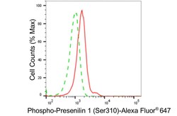 Invitrogen Phospho-Presenilin 1 (Ser310) Recombinant Rabbit Monoclonal