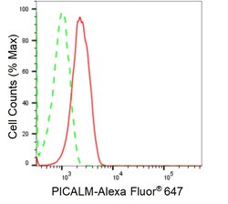 Invitrogen CALM Recombinant Rabbit Monoclonal Antibody (24GB1620) 20 &mu;L;
