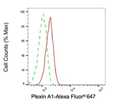 Invitrogen Plexin-A1 Recombinant Rabbit Monoclonal Antibody (24GB1245)