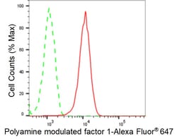 Invitrogen PMF1 Recombinant Rabbit Monoclonal Antibody (24GB985) 20 &mu;L;