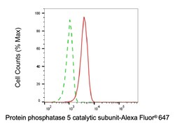 Invitrogen PP5 Monoclonal Antibody (24GB6210) 20 &mu;L; Unconjugated:Anticorps,