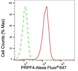 Invitrogen PRPF4 Recombinant Rabbit Monoclonal Antibody (24GB975) 20 &mu;L;
