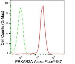 Invitrogen PRKAR2A Recombinant Rabbit Monoclonal Antibody (24GB1265):Antibodies:Primary