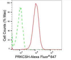 Invitrogen PRKCSH Recombinant Rabbit Monoclonal Antibody (24GB1325):Antibodies:Primary