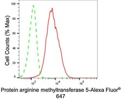 Invitrogen PRMT5 Recombinant Rabbit Monoclonal Antibody (24GB845) 100 &mu;L;