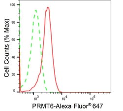 Invitrogen PRMT6 Recombinant Rabbit Monoclonal Antibody (24GB1585) 100