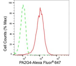 Invitrogen EBP1 Recombinant Rabbit Monoclonal Antibody (24GB580) 100 &mu;L;