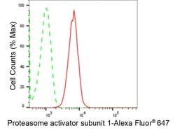 Invitrogen PSME1 Recombinant Rabbit Monoclonal Antibody (24GB1505) 20 &mu;L;