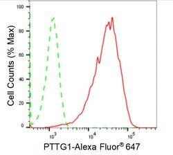 Invitrogen Securin Recombinant Rabbit Monoclonal Antibody (24GB1495) 20