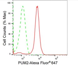 Invitrogen PUM2 Recombinant Rabbit Monoclonal Antibody (24GB1250):Antibodies:Primary