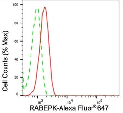 Invitrogen p40 Recombinant Rabbit Monoclonal Antibody (24GB1540) 100 &mu;L;