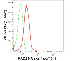 Invitrogen RAD21 Recombinant Rabbit Monoclonal Antibody (24GB1390):Antibodies:Primary