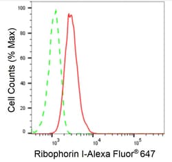 Invitrogen Ribophorin I Recombinant Rabbit Monoclonal Antibody (24GB1090):Antibodies:Primary