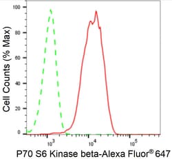 Invitrogen RPS6KB2 Recombinant Rabbit Monoclonal Antibody (24GB1235) 100