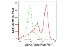 Invitrogen RPS6KB2 Recombinant Rabbit Monoclonal Antibody (24GB5075) 20