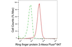 Invitrogen RNF2 Recombinant Rabbit Monoclonal Antibody (24GB5455) 100 &mu;L;
