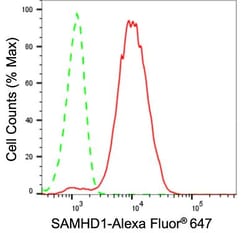 Invitrogen SAMHD1 Recombinant Rabbit Monoclonal Antibody (24GB1010) 20
