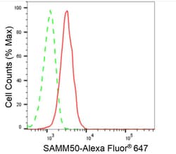 Invitrogen SAMM50 Recombinant Rabbit Monoclonal Antibody (24GB1135) 100