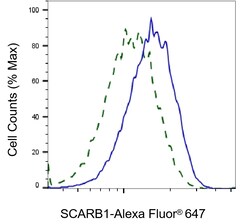Invitrogen SR-BI Recombinant Rabbit Monoclonal Antibody (24GB1395) 20 &mu;L;