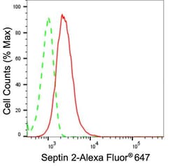 Invitrogen Septin 2 Recombinant Rabbit Monoclonal Antibody (24GB1525) 20