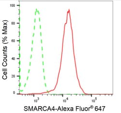 Invitrogen BRG1 Recombinant Rabbit Monoclonal Antibody (24GB2065) 100 &mu;L;