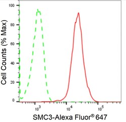 Invitrogen SMC3 Recombinant Rabbit Monoclonal Antibody (24GB2155) 20 &mu;L;