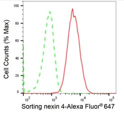 Invitrogen SNX4 Recombinant Rabbit Monoclonal Antibody (24GB2335) 20 &mu;L;
