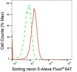 Invitrogen SNX5 Recombinant Rabbit Monoclonal Antibody (24GB2310) 20 &mu;L;