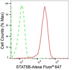 Invitrogen STAT5 beta Recombinant Rabbit Monoclonal Antibody (24GB2110)