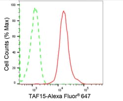 Invitrogen TAF15 Recombinant Rabbit Monoclonal Antibody (24GB1830) 20 &mu;L;