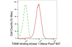 Invitrogen TBK1 Recombinant Rabbit Monoclonal Antibody (24GB4650) 20 &mu;L;