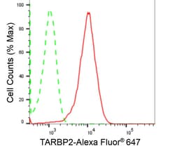 Invitrogen TRBP Recombinant Rabbit Monoclonal Antibody (24GB2425):Antibodies,