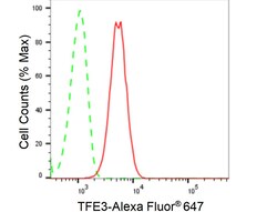 Invitrogen TFE3 Recombinant Rabbit Monoclonal Antibody (24GB2630) 20 &mu;L;