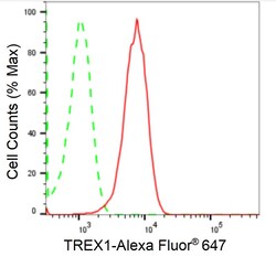 Invitrogen TREX1 Recombinant Rabbit Monoclonal Antibody (24GB2440) 20 &mu;L;