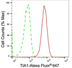 Invitrogen TIA-1 Recombinant Rabbit Monoclonal Antibody (24GB2175) 20 &mu;L;